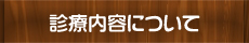 診療内容について